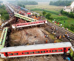 В Индии при столкновении с поездом погибли восемь слонов