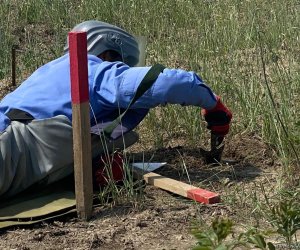 ANAMA: На минувшей неделе от мин очищена территория площадью более 1200 га