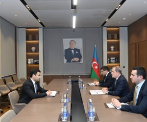 Глава МИД Азербайджана принял генсека МОГО