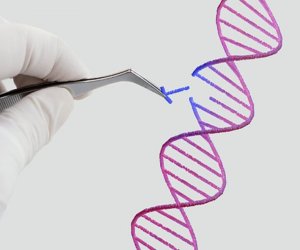 İnsanın klonu patent obyekt kimi qəbul edilməyəcək
