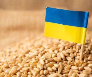 Молдова снимет ограничения на импорт зерна из Украины