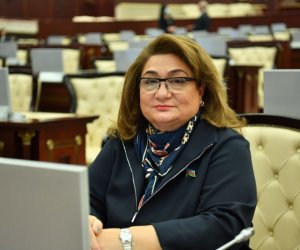 Sosial şəbəkələrdə etikaya zidd məlumatlar yeniyetmələr üçün təhlükədir - Deputat