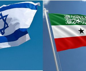 Главы МИД Сомали, Египта, Турции и Джибути осудили решение Израиля по Сомалиленду