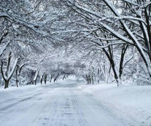 Rayonlara qar yağıb - Faktiki hava