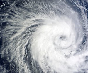 В Швеции во время урагана погибли два человека