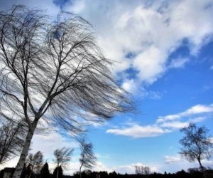 Bakıda və bölgələrdə külək güclənəcək - XƏBƏRDARLIQ