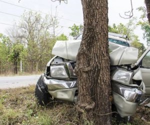 Qaxda avtomobil ağaca çırpılıb, sürücü ölüb