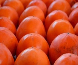 On bir ayda ən çox xurma ixrac olunub - Rəsmi