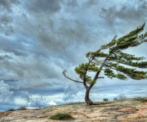 Bakı və bölgələrdə külək güclənib -FAKTİKİ HAVA
