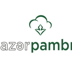 Azərpambıq MMC-nin ixrac gəlirləri 11 ayda 30,6% azalıb