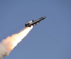 ОАЭ планируют купить долю украинского производителя ракет &laquo;Фламинго&raquo;