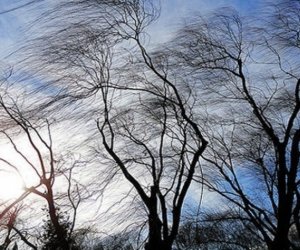 Синоптики предупреждают: ветер в Азербайджане усилится и сохранится несколько дней, ожидаются осадки - Обновлено