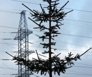 В Краснодарском крае РФ десятки тысяч жителей остались без света