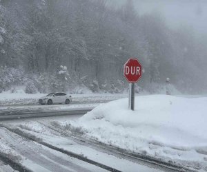 Türkiyədə 28 vilayət üçün qar uçqunu xəbərdarlığı edilib