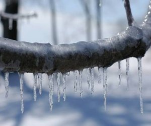 Bəzi yerlərdə 20 dərəcəyədək şaxta qeydə alınıb - FAKTİKİ HAVA