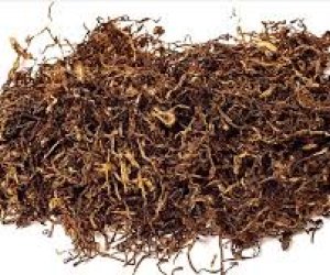 Azərbaycan tütün ixracından qazancını təxminən 12 % artırıb