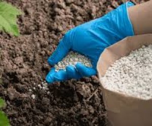 
Azərbaycan gübrə ixracından qazancını 45 %-ə yaxın artırıb