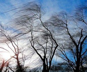 Küləkli hava şəraiti ilə bağlı sarı XƏBƏRDARLIQ