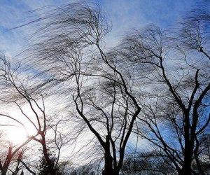 Faktiki hava açıqlanıb