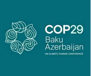 COP29 Azerbaijan Operations Company dissolved