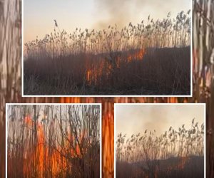Cəbrayılda yanğın törədən şəxs həbs edilib