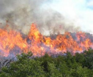 Cəbrayıl və Füzulidəki yanğınlar söndürülüb