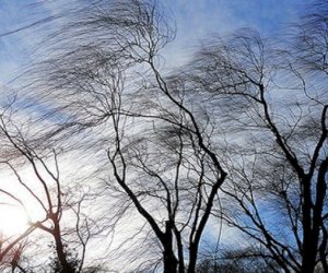 Külək güclənəcək - XƏBƏRDARLIQ