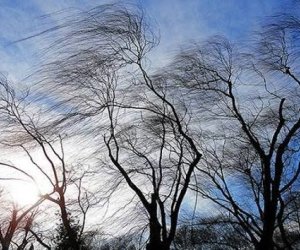 В Азербайджане ожидается ветер и ясная погода