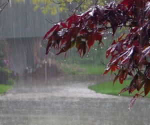 Bakıda yağışintensivləşəcək - Xəbərdarlıq