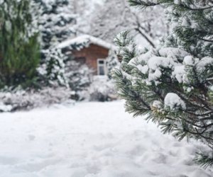 Bu ərazilərə qar yağır- Faktiki hava