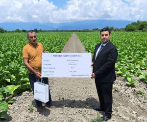 Ötən il fermerlərə nə qədər sığorta ödənişi edilib? - Rəsmi