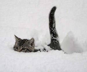 Temperatur 8 dərəcə enəcək- Qar yağacaq