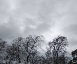 Синоптики предупреждают: В ближайшие два дня в Азербайджане ожидается сильный ветер