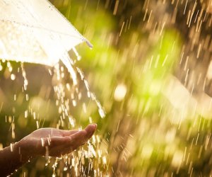 Sabah yağış gözlənilir - Proqnoz