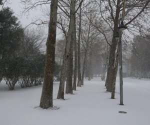 Sabah hava yağmursuz olacaq - PROQNOZ