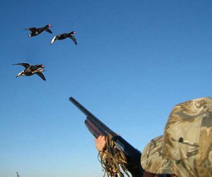 
Qaradağda qanunsuz ov edən şəxslər saxlanılıb