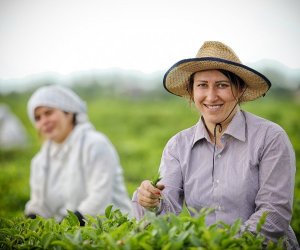 Deputat: Fermerlər üçün uzunmüddətli və aşağıfaizli kreditlər qanunla tənzimlənməlidir