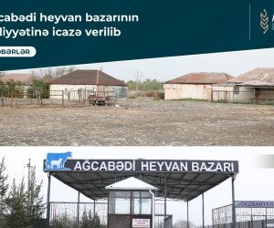 Ağcabədi heyvan bazarının fəaliyyətinə icazə verilib