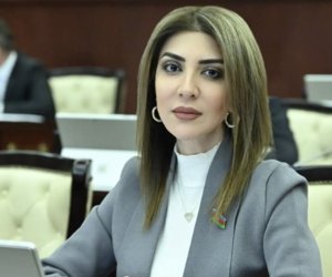 Günay Ağamalı Ana Vətən Partiyasının sədri seçildi