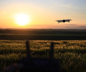 Польша создаст крупнейшую в Европе систему защиты от дронов