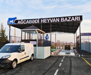 Ağcabədidə heyvan satışı bazarı fəaliyyətə başlayıb