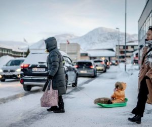 Qrenlandiya işıqsız və istiliksiz qaldı