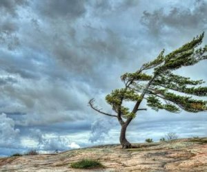 Küləkli hava ilə bağlı xəbərdarlıq edilib