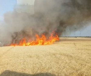 
Əkin yerinin yandırılmasına görəyeni cərimələr tətbiq olunub