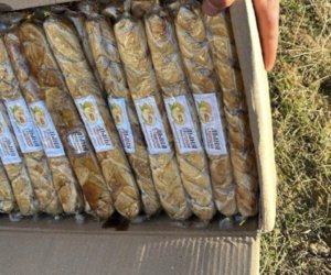 Qurudulmuş yemiş və halvalarda uyğunsuzluq aşkarlanıb