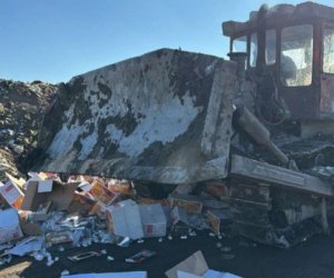 İrandan gətirilən qənnadı məhsulunda kif aşkarlanıb