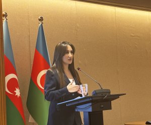 Sənədsiz tikililərin sayı açıqlanıb