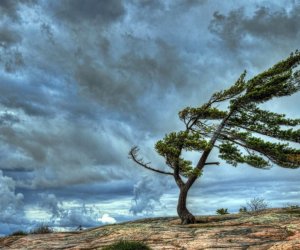 Şənbə günü hava yağmursuz olacaq