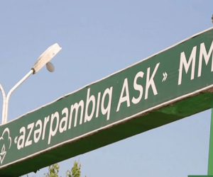 &ldquo;Azərpambıq&rdquo;ın ixrac gəliri 2025-ci ildə 31% azalıb