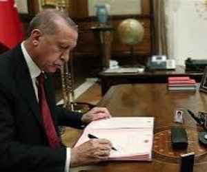 Эрдоган назначил себе главного советника